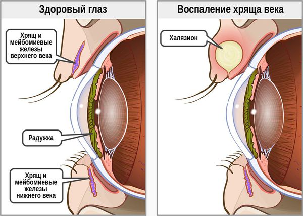 28u8aX5ywgij9M0U.jpg 28u8aX5ywgij9M0U.jpg